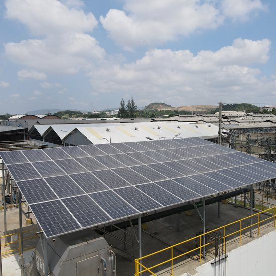 Cervecería Nacional ha participado en varias actividades de reforestación y uso de energia solar